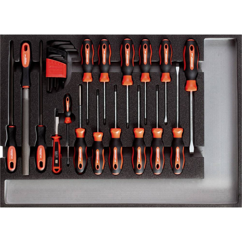 Screwdriver and File Set in Module, 26 pieces (GEDORE R22350002)