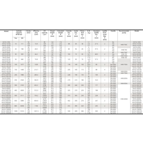 Egyszeres működésű általános hidraulikus munkahenger (100T, 100mm) (YG-100100)