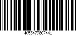 4053479867441