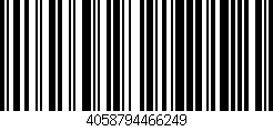 4058794466249